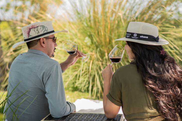 Vinos de altura y gastronomía al aire libre